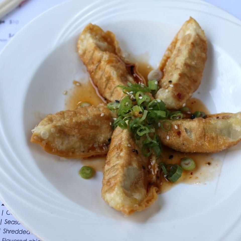 Five golden-brown Roc N Ramen gyoza arranged in a star shape, drizzled with sauce and green onions.